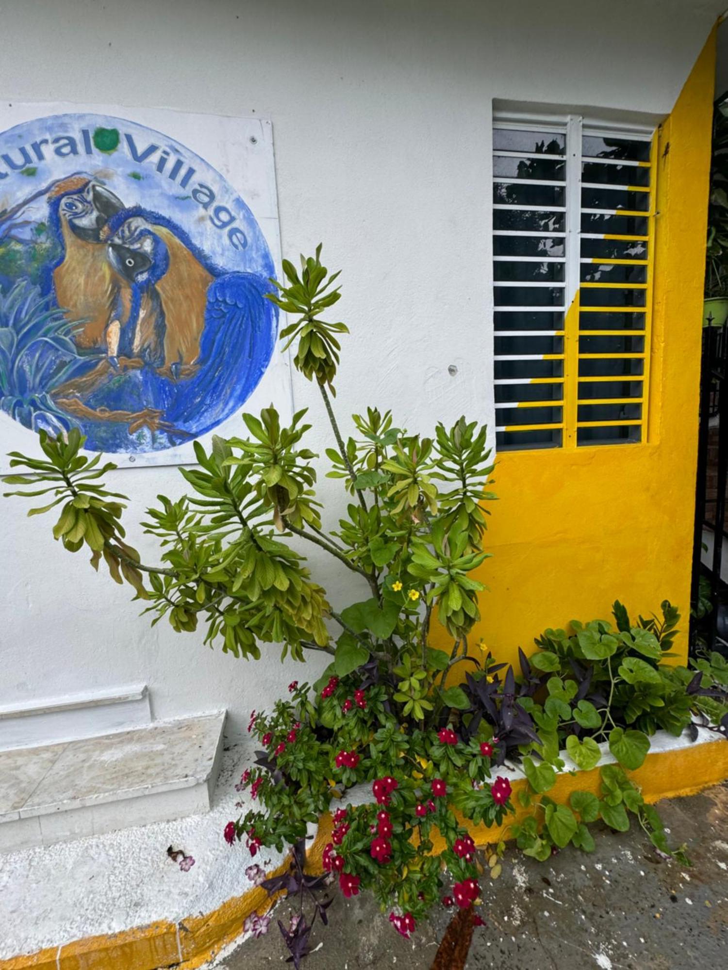 Casita Natural Village #4 Apartamento *