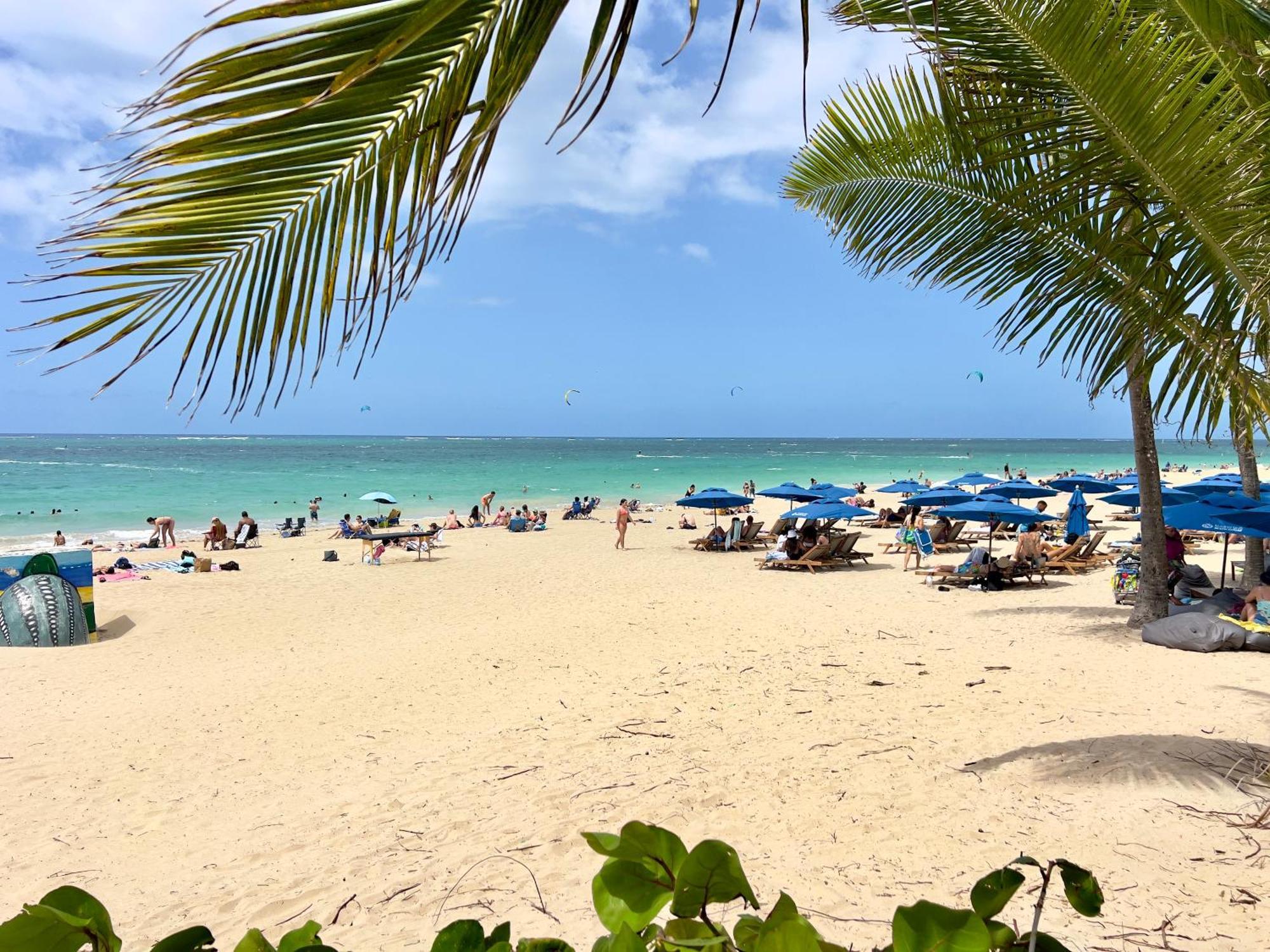 Apartamento Beachfront Tropical Tantra
