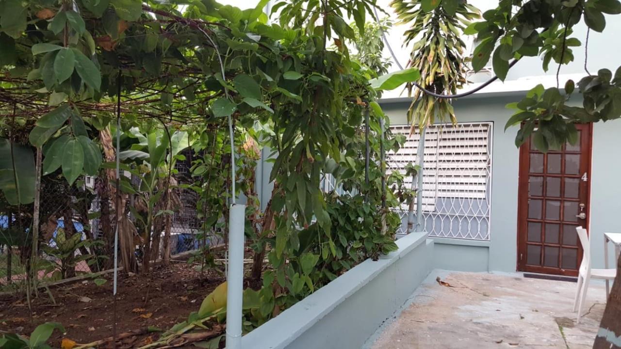 Casita Natural Village #4 Apartamento San Juan