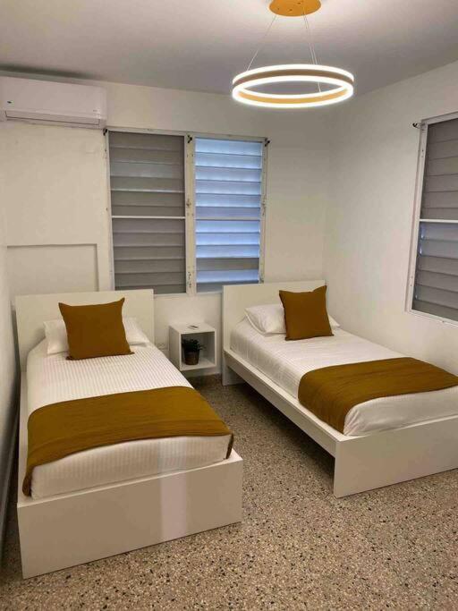 3 Bd By Airport El Yunque Walk To The Apartment