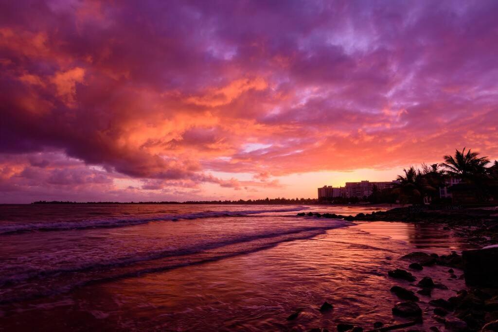 Apartment Beachfront Luxury