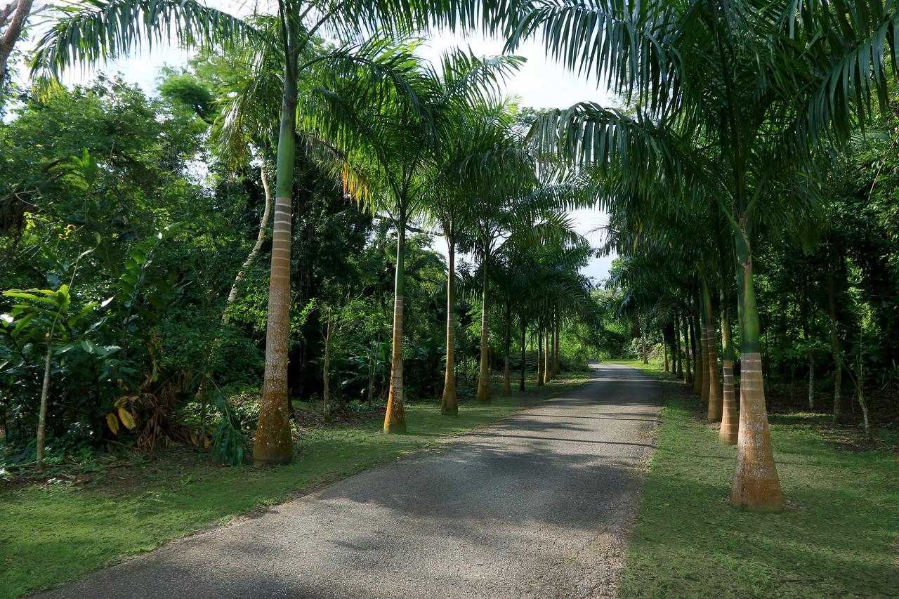 Country house Hacienda Tres Casitas