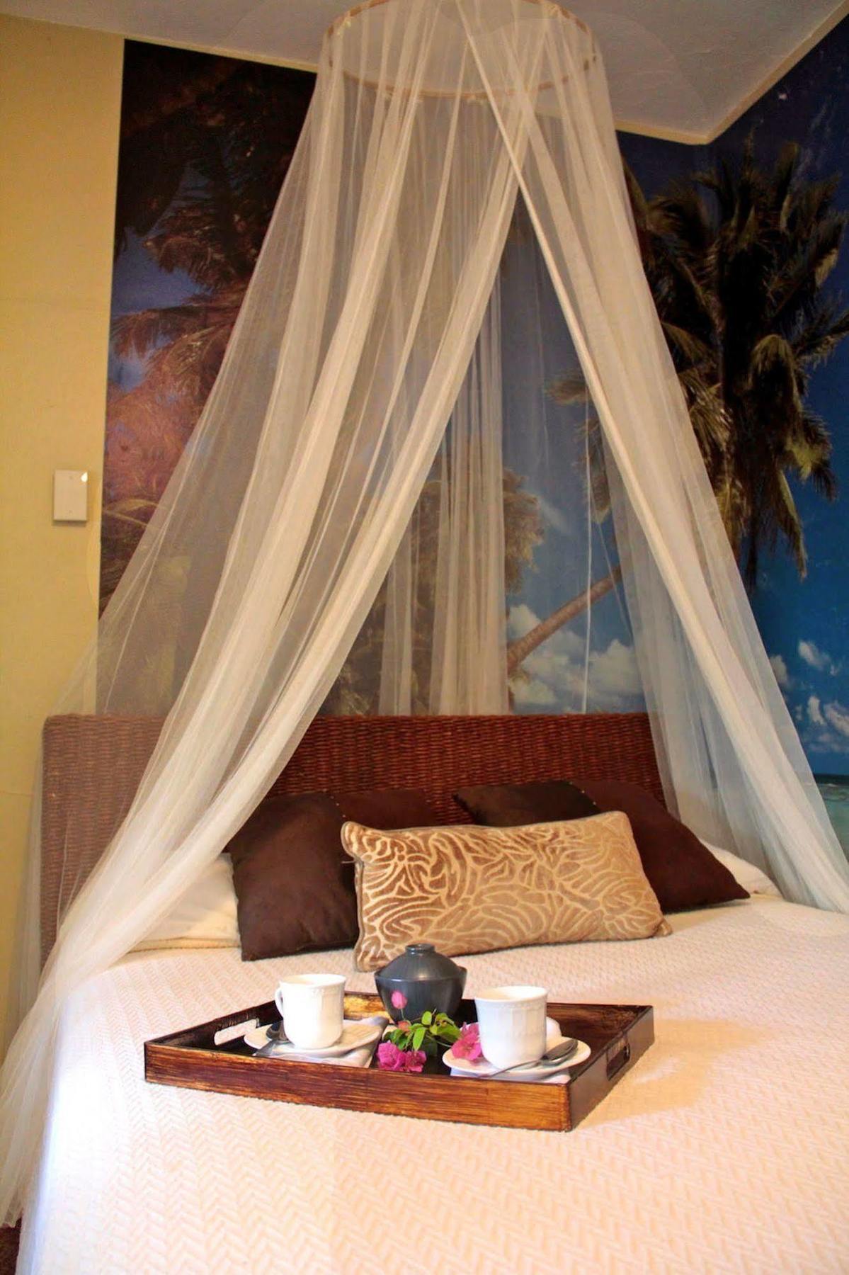 Apartment Lower Price, Style, Discount In San Juan,pr, Beach, Free Bikes (adults Only)
