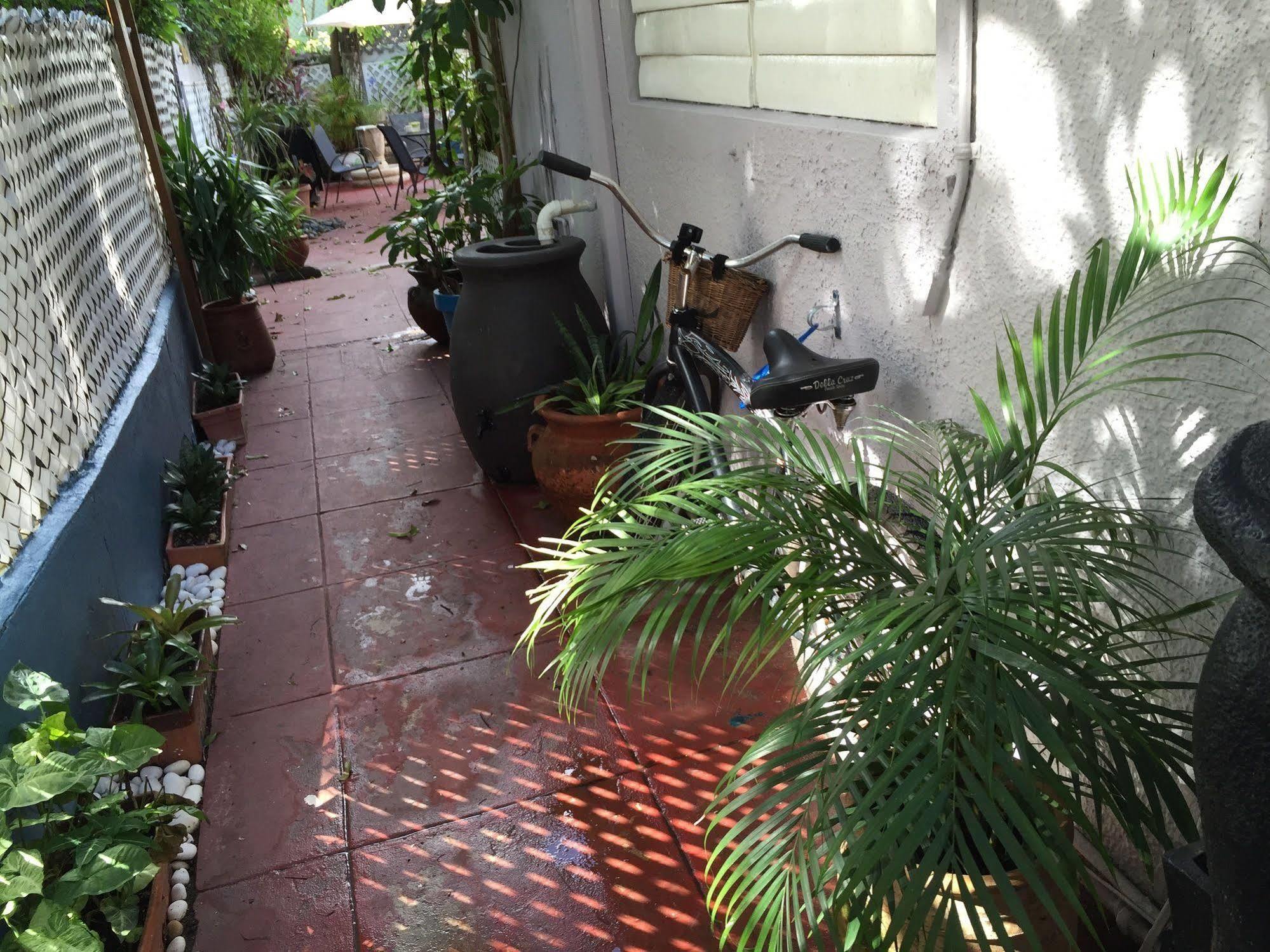 Apartment Lower Price, Style, Discount In San Juan,pr, Beach, Free Bikes (adults Only) *